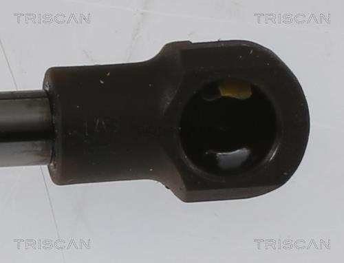 Cilindro Triscan A/S ref. 8710 13296