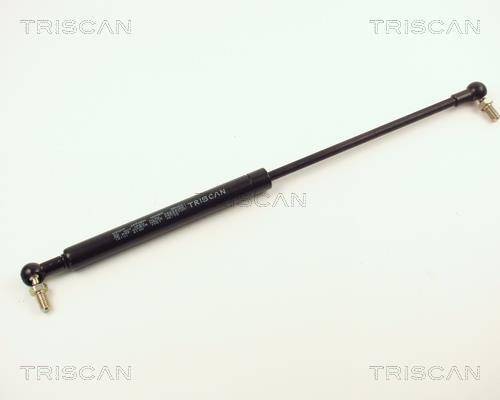Cilindro Triscan A/S 8710 14101