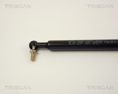 Cilindro Triscan A/S 8710 14101