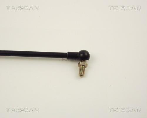 Cilindro Triscan A/S 8710 14101