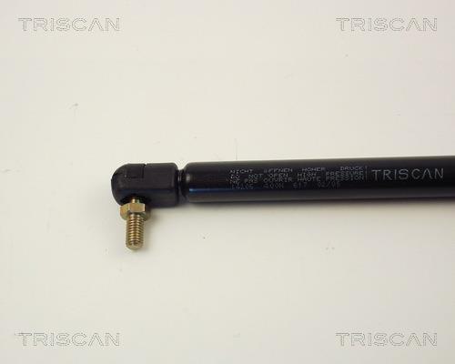 Cilindro Triscan A/S 8710 14206