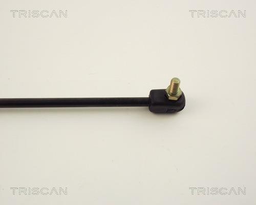 Cilindro Triscan A/S 8710 14206