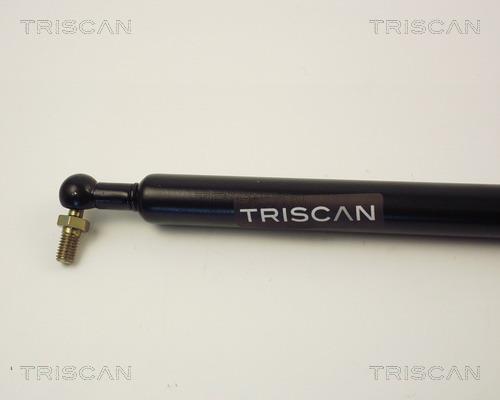 Vérin (Vérin de hayon) Triscan A/S 8710 14207