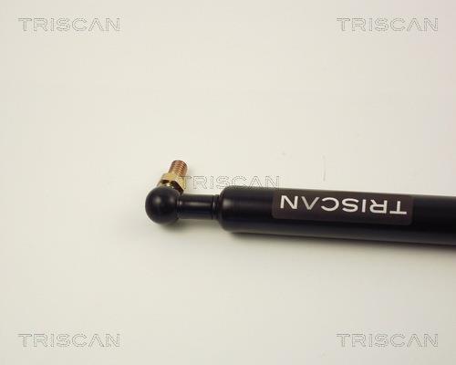 Muelle neumático Triscan A/S 8710 14215