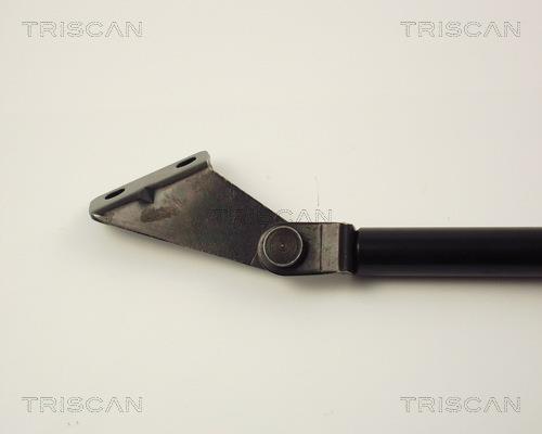Muelle neumático Triscan A/S 8710 14217