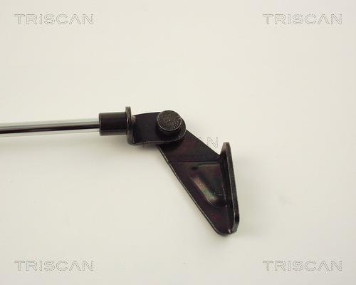 Muelle neumático Triscan A/S 8710 14217