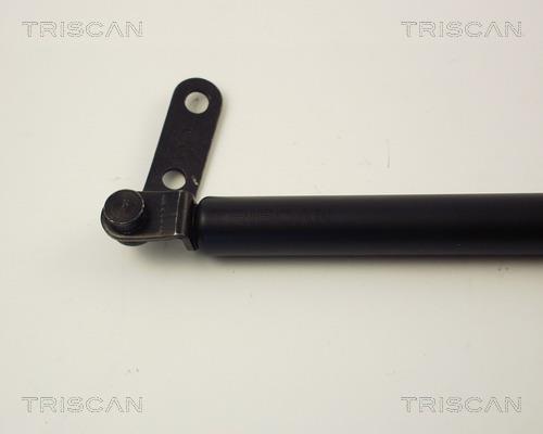 Vérin (Vérin de hayon) Triscan A/S 8710 14219