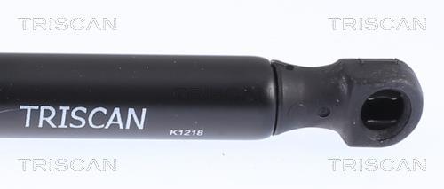 Muelle neumático Triscan A/S 8710 14221