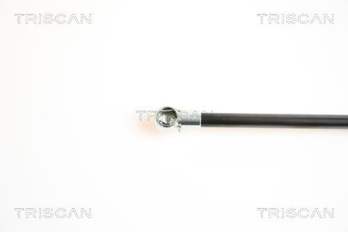 Muelle neumático Triscan A/S 8710 14234