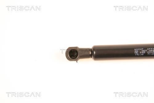 Vérin (Vérin de hayon) Triscan A/S 8710 14238
