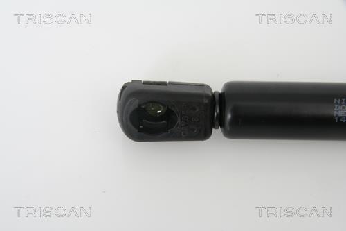 Vérin (Vérin de hayon) Triscan A/S 8710 14240