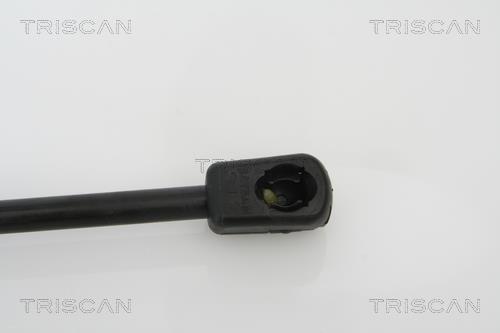Vérin (Vérin de hayon) Triscan A/S 8710 14240