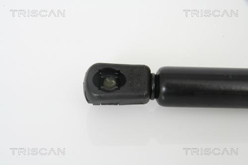 Muelle neumático Triscan A/S 8710 14241