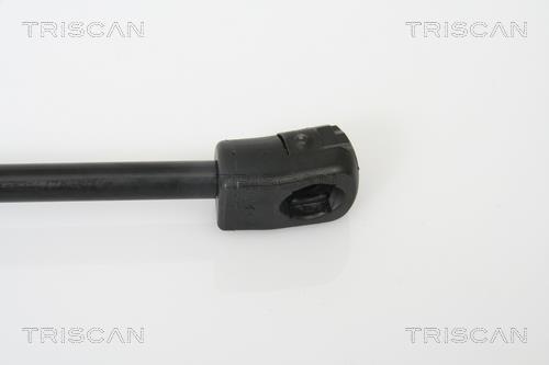 Muelle neumático Triscan A/S 8710 14241