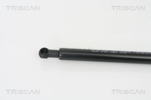 Vérin (Vérin de hayon) Triscan A/S 8710 14242