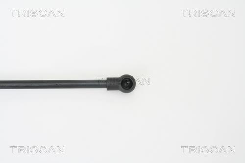 Vérin (Vérin de hayon) Triscan A/S 8710 14242