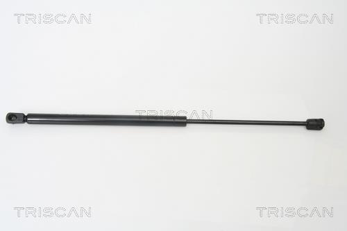 Vérin (Vérin de hayon) Triscan A/S ref. 8710 14243