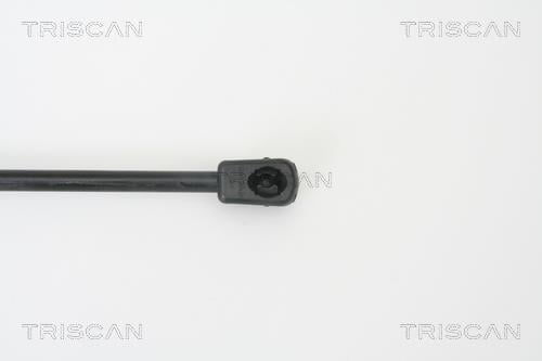 Vérin (Vérin de hayon) Triscan A/S ref. 8710 14243