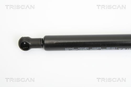 Vérin (Vérin de hayon) Triscan A/S 8710 14244