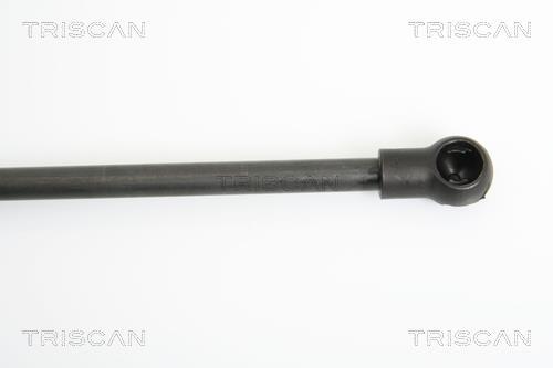 Vérin (Vérin de hayon) Triscan A/S 8710 14244