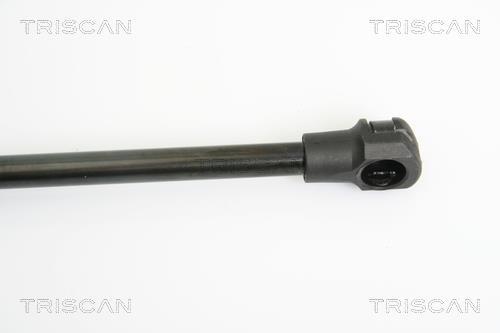 Vérin (Vérin de hayon) Triscan A/S ref. 8710 14245