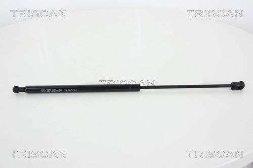 Muelle neumático Triscan A/S 8710 14246