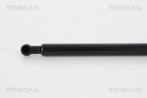 Muelle neumático Triscan A/S 8710 14246