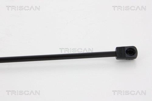 Muelle neumático Triscan A/S 8710 14246