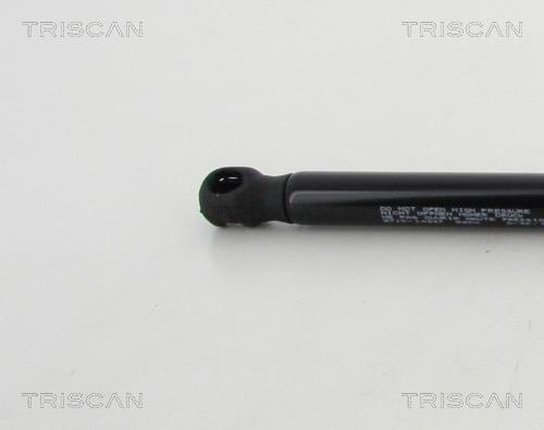 Vérin (Vérin de hayon) Triscan A/S 8710 14247
