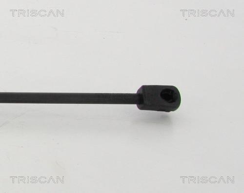 Vérin (Vérin de hayon) Triscan A/S 8710 14247