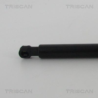 Muelle neumático Triscan A/S 8710 14254