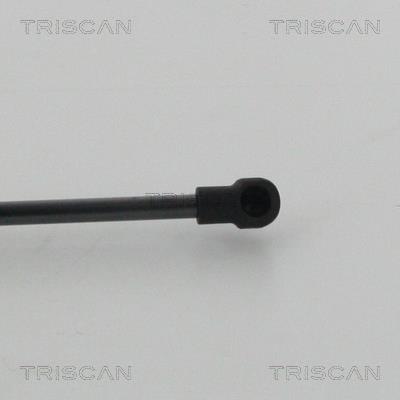 Muelle neumático Triscan A/S 8710 14254