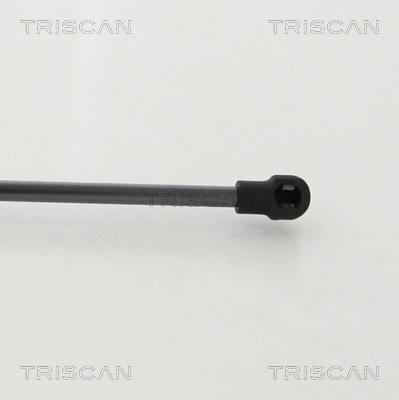Cilindro Triscan A/S ref. 8710 14256