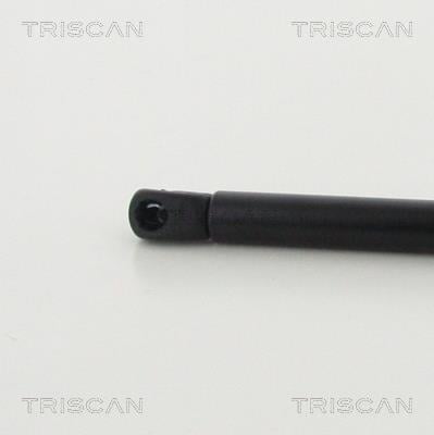 Cilindro Triscan A/S ref. 8710 14256