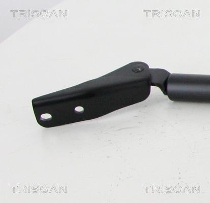 Vérin (Vérin de hayon) Triscan A/S 8710 14257