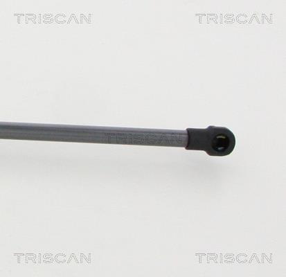 Vérin (Vérin de hayon) Triscan A/S 8710 14257