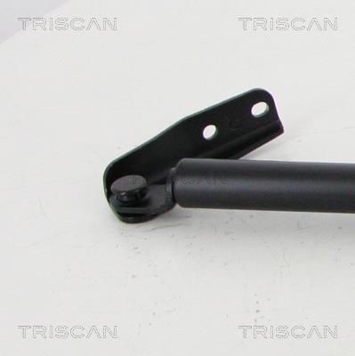 Vérin (Vérin de hayon) Triscan A/S 8710 14258