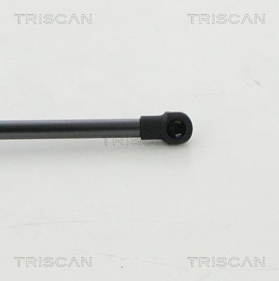 Vérin (Vérin de hayon) Triscan A/S 8710 14258