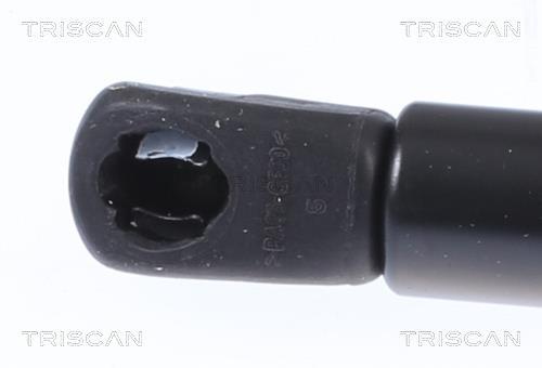 Vérin (Vérin de hayon) Triscan A/S ref. 8710 14259