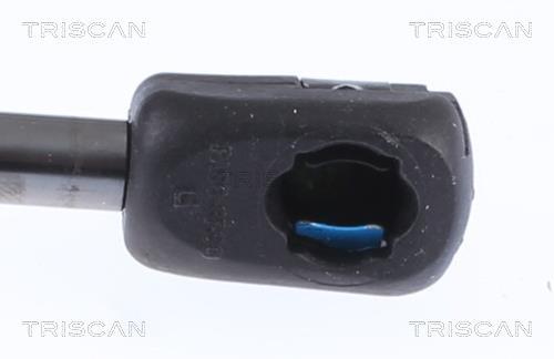 Vérin (Vérin de hayon) Triscan A/S ref. 8710 14259