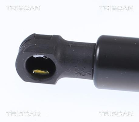 Vérin (Vérin de hayon) Triscan A/S 8710 14260