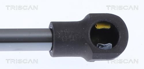 Vérin (Vérin de hayon) Triscan A/S 8710 14260