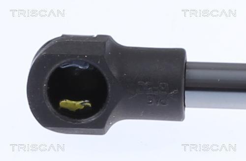Vérin (Vérin de hayon) Triscan A/S 8710 14261