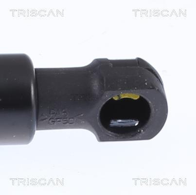 Vérin (Vérin de hayon) Triscan A/S 8710 14261
