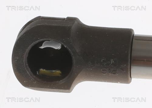 Vérin (Vérin de hayon) Triscan A/S 8710 14262