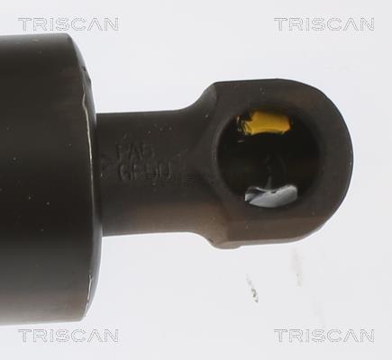 Vérin (Vérin de hayon) Triscan A/S 8710 14262
