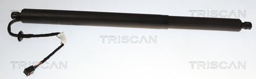 Vérin de hayon, de coffre (Vérin de hayon) Triscan A/S 8710 14303
