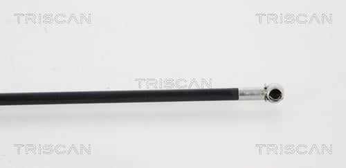 Vérin (Vérin de hayon) Triscan A/S ref. 8710 15102