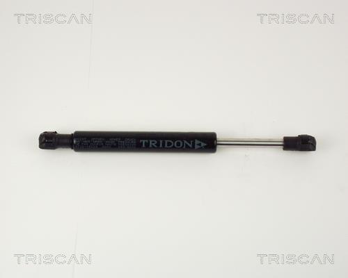 Cilindro Triscan A/S 8710 15103