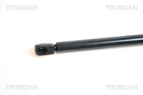 Vérin (Vérin de hayon) Triscan A/S 8710 15104